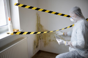  Mold Remediation